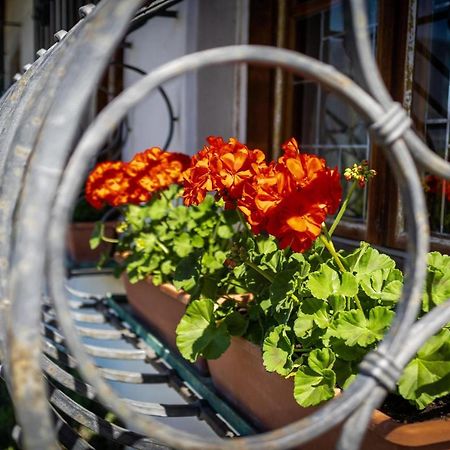 Ferienwohnung Zypresse メラーノ エクステリア 写真
